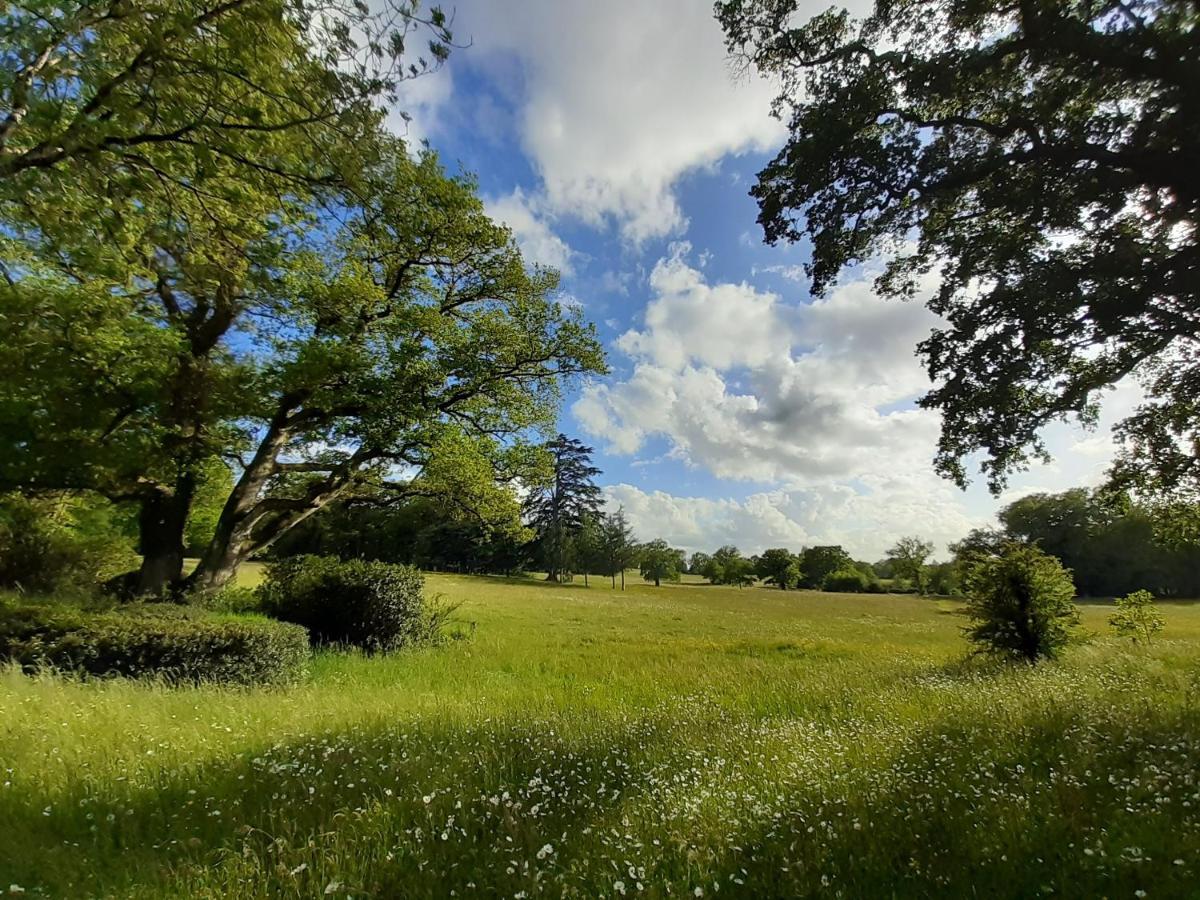 Domaine Des Roches Blanches Βίλα Le Pin  Εξωτερικό φωτογραφία