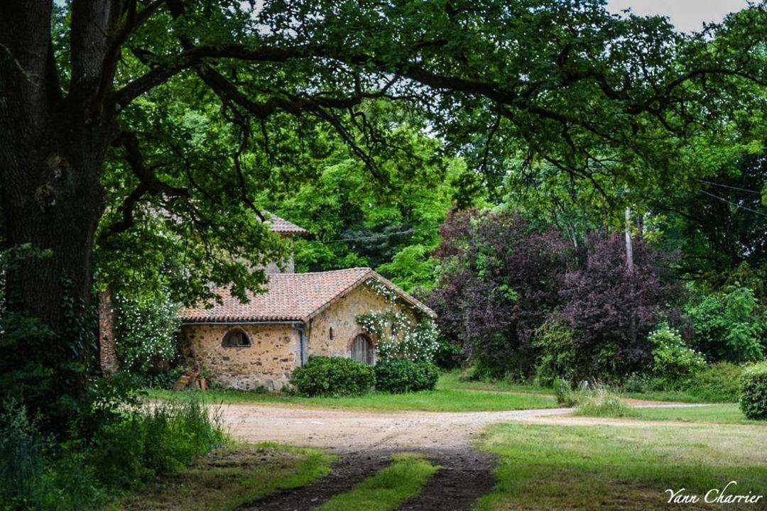 Domaine Des Roches Blanches Βίλα Le Pin  Εξωτερικό φωτογραφία