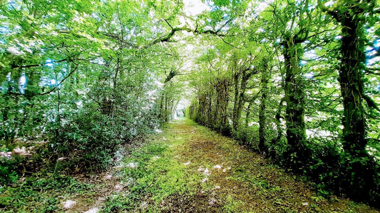 Domaine Des Roches Blanches Βίλα Le Pin  Εξωτερικό φωτογραφία