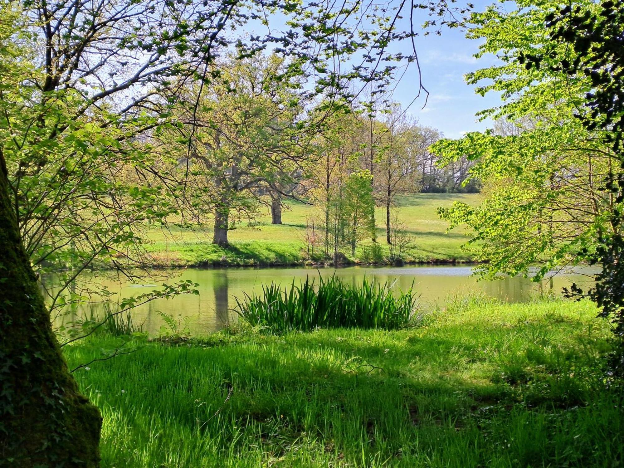 Domaine Des Roches Blanches Βίλα Le Pin  Εξωτερικό φωτογραφία