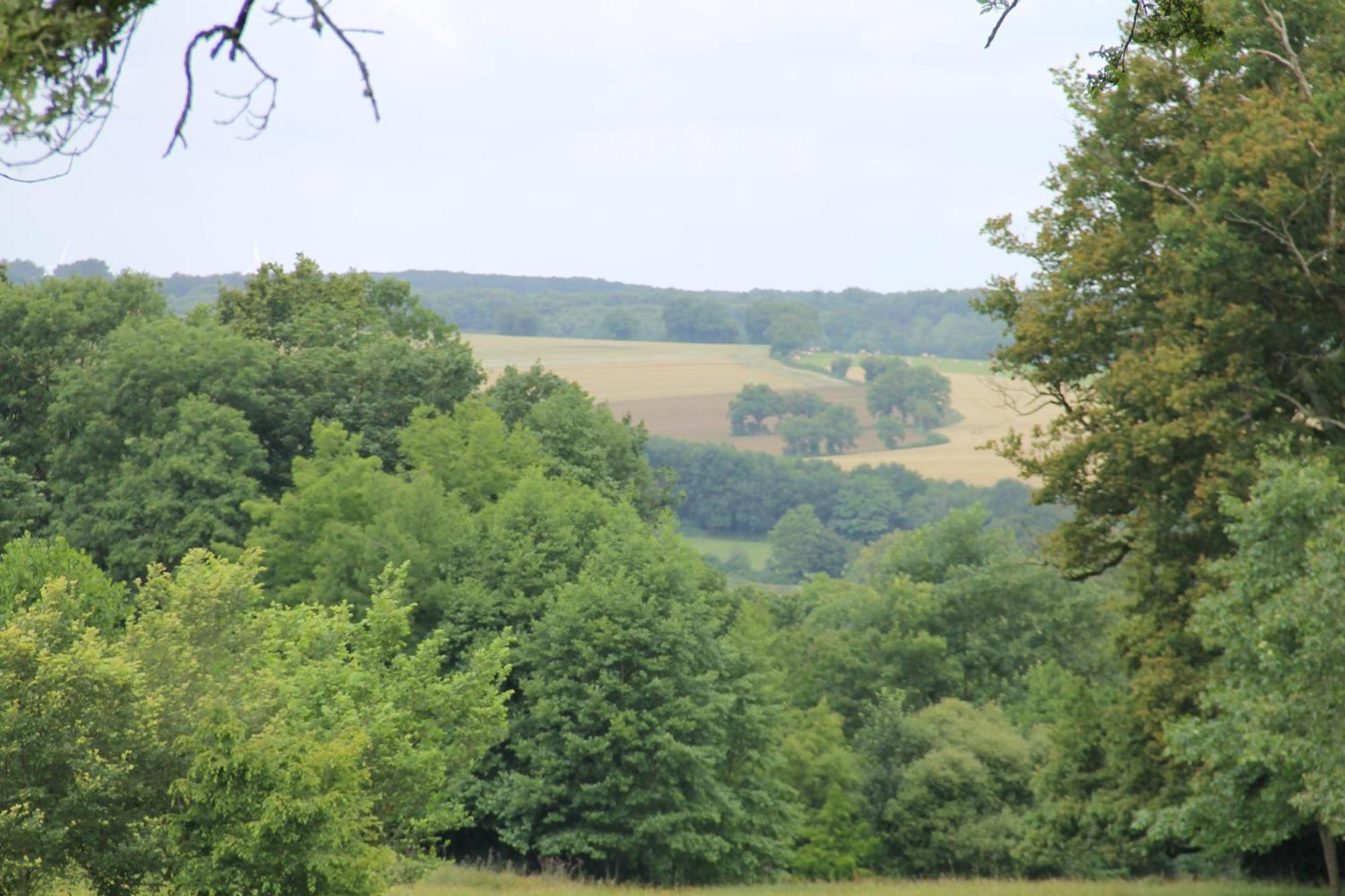 Domaine Des Roches Blanches Βίλα Le Pin  Εξωτερικό φωτογραφία