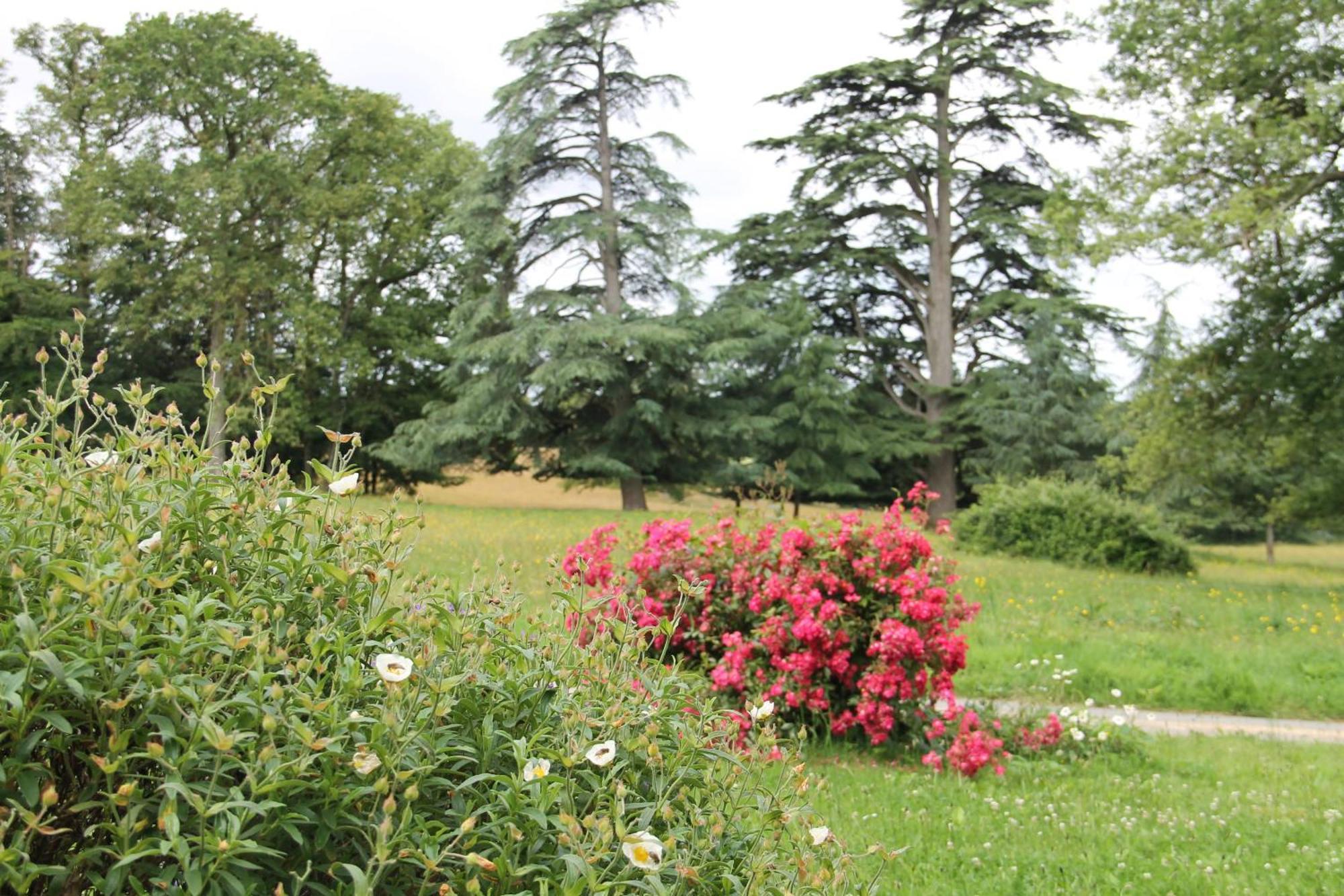 Domaine Des Roches Blanches Βίλα Le Pin  Εξωτερικό φωτογραφία