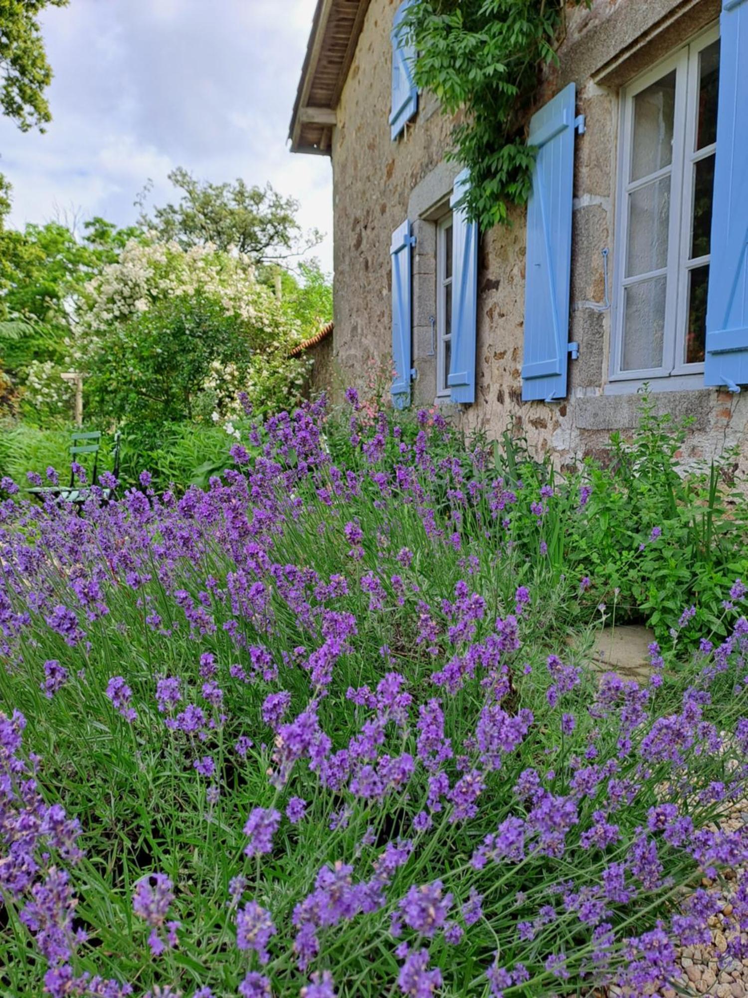 Domaine Des Roches Blanches Βίλα Le Pin  Εξωτερικό φωτογραφία