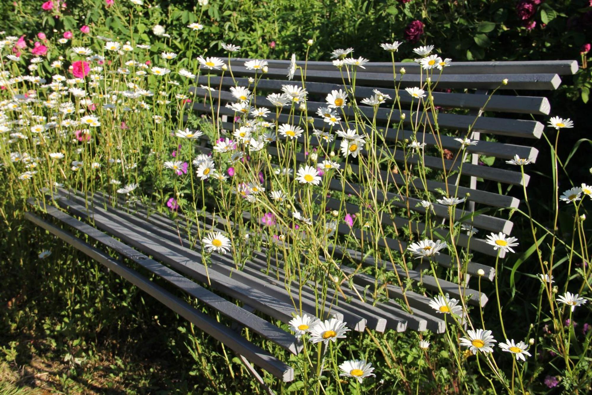 Domaine Des Roches Blanches Βίλα Le Pin  Εξωτερικό φωτογραφία
