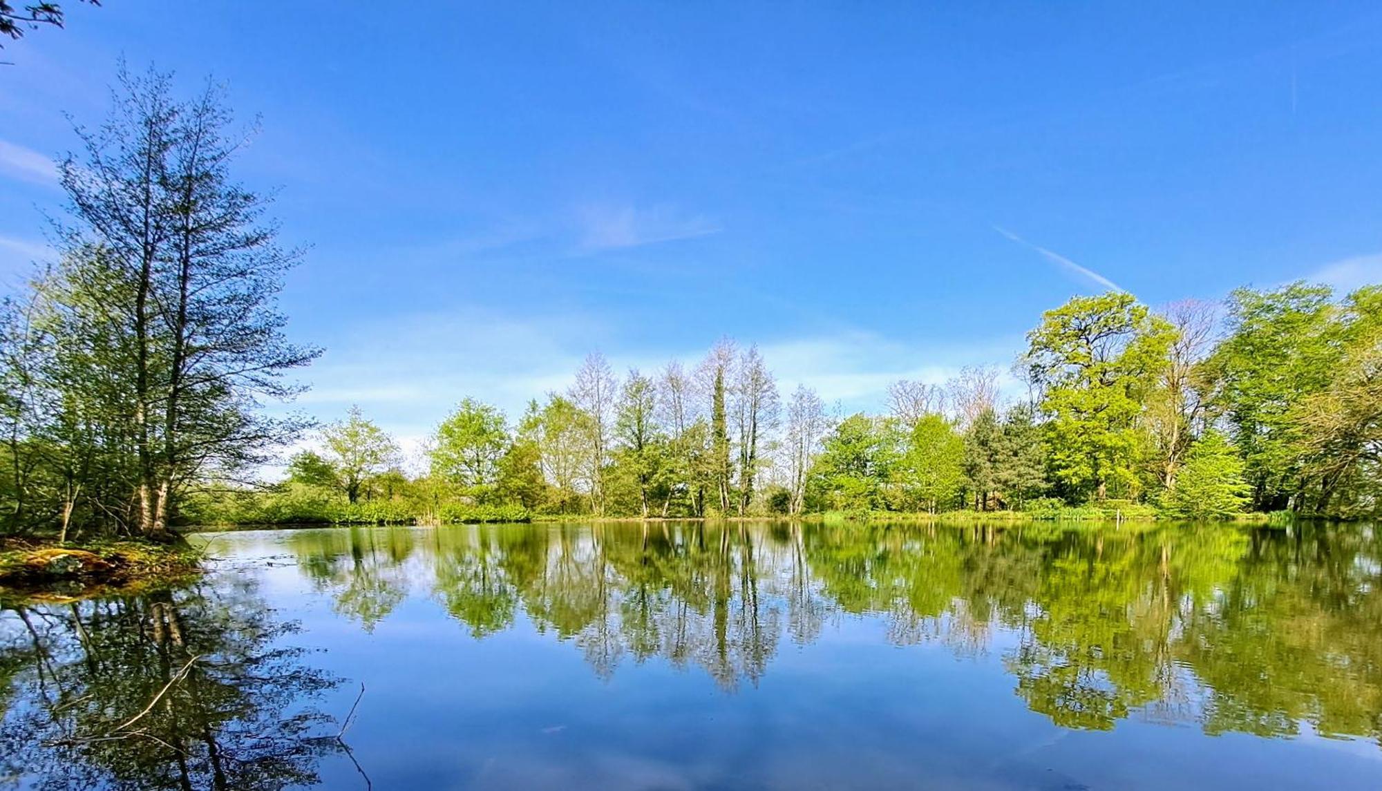 Domaine Des Roches Blanches Βίλα Le Pin  Εξωτερικό φωτογραφία