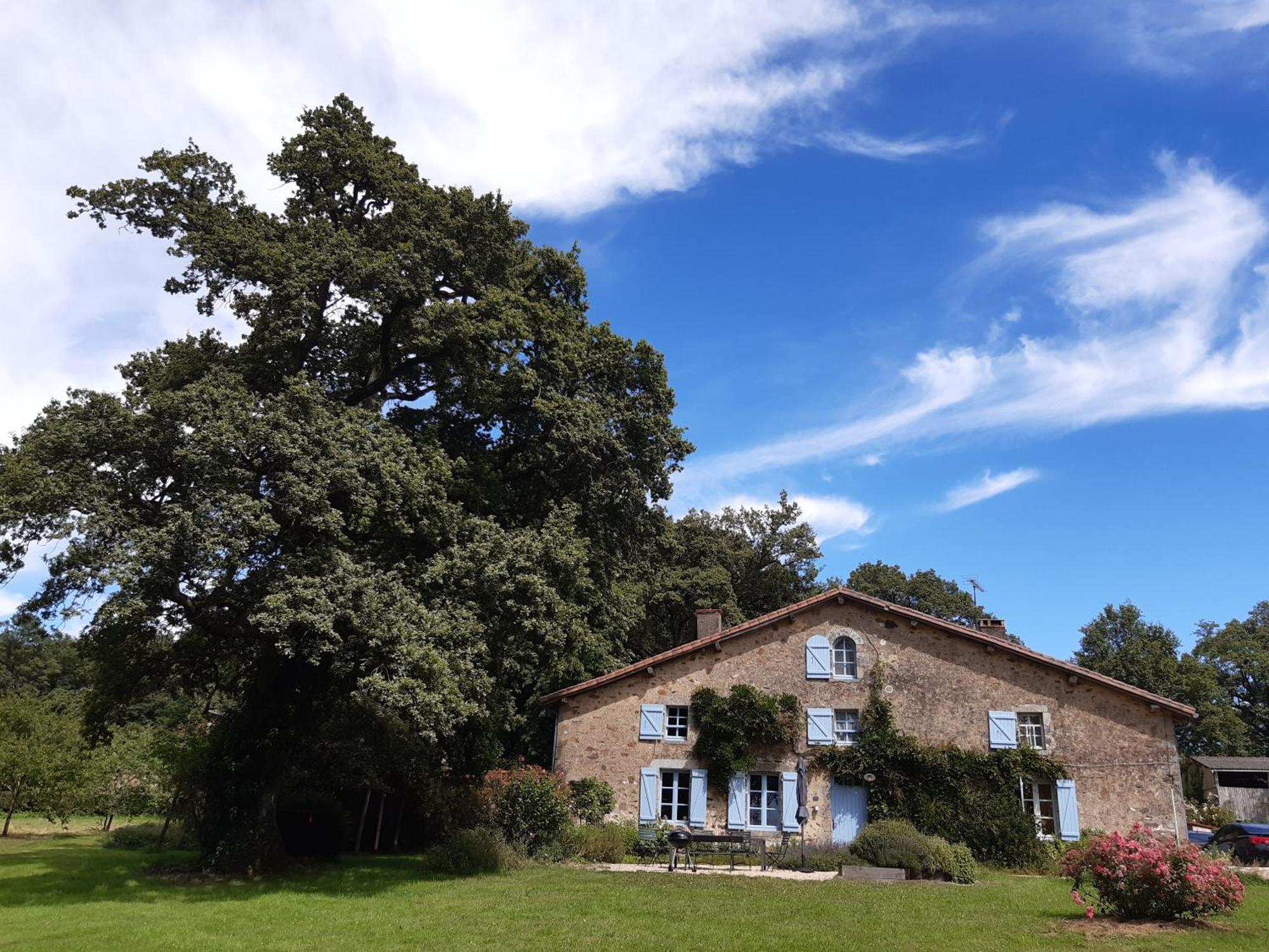 Domaine Des Roches Blanches Βίλα Le Pin  Εξωτερικό φωτογραφία